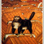 cat on a roof