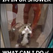 DarkAce² Þ ÿ ¦ ý Í Ð ³ â