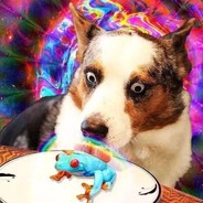 好 消 息 ，好 消 息：