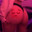 Zynn
