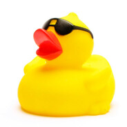 duck_4321