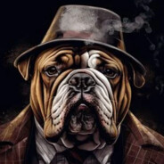 the bulldog