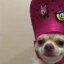 Egge