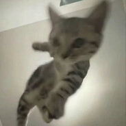 冷不丁梆梆就两拳