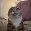 ;p