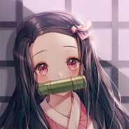 强子的头号黑粉