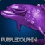 PurpleDolphin.exe