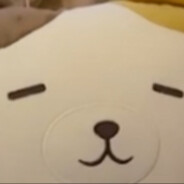 喵桑带给我好运