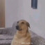 Преимущества