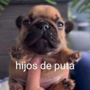 abogado del follador de ardillas