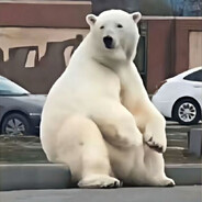 北极熊