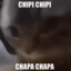 chipi chipi chapa chapa