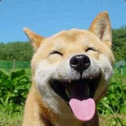 Mnick_zjs