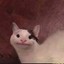 Sprooty