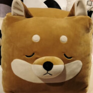 一碰就倒老柴犬