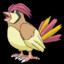 Pidgeotto