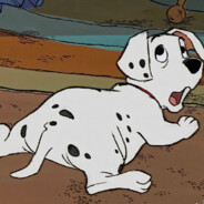 让小帅伤心的事我做不到