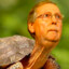 The Turtle Warlord