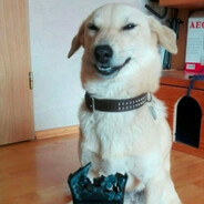 кг гашиша