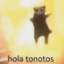 hola tonotos