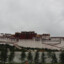 小经老师来了哦