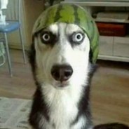 最强毒奶老中医