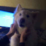 lewroe - steam id 76561197960541299