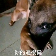 手冲大师王老狗