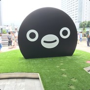 Momisuke avatar
