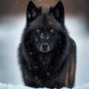 BlackWolf