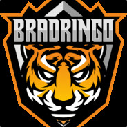 BradRingo