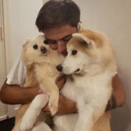 都是划破心脏的箭