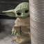 BABY YODA