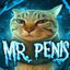 Gato de Dojima