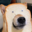 Toast Doge