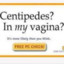 Centipedes?