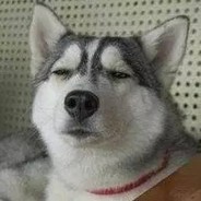 大哥你的枪比我的好看