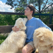 青春期沈阳虎哥不会遇见杀马特团长