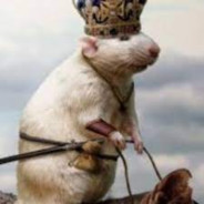 The supreme rat leader