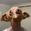 Durrgunnar