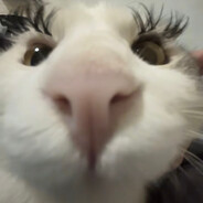 玩远光84太菜被流放到apex当奴隶