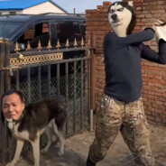 停了没急，急了没停