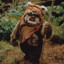 Ewok