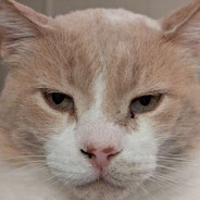 Nukes2427 - steam id 76561198973444339