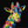 Acidgiraffes