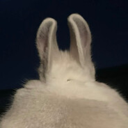 lvdln - steam id 76561198393153079