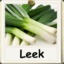 Leek