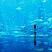 咕噜咕噜小丸子