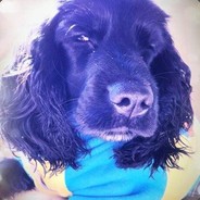 你说你喜欢动漫