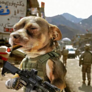 丁真不吸悦客五